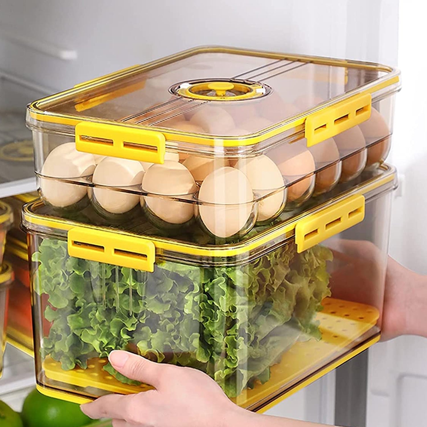 5235 Freezer Food Containers with Airtight Lids & Drain Tray 